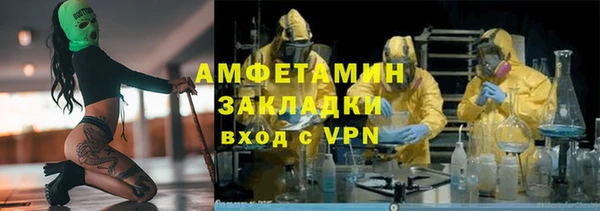 гидра Тавда