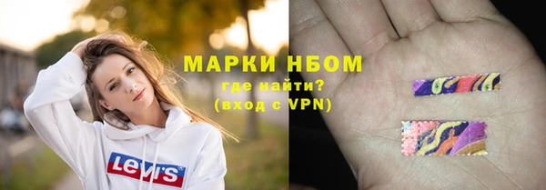 гидра Тавда