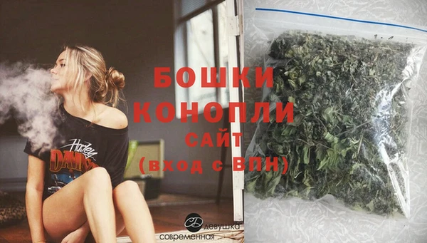 гидра Тавда
