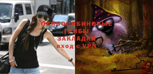 apvp Ступино