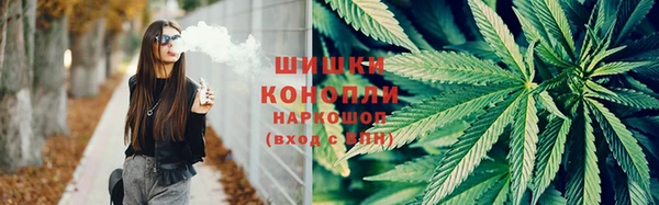 гидра Тавда