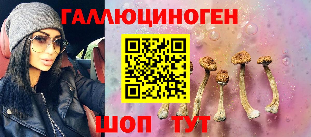 Псилоцибиновые грибы Psilocybe  магазин продажи   Усть-Кут 