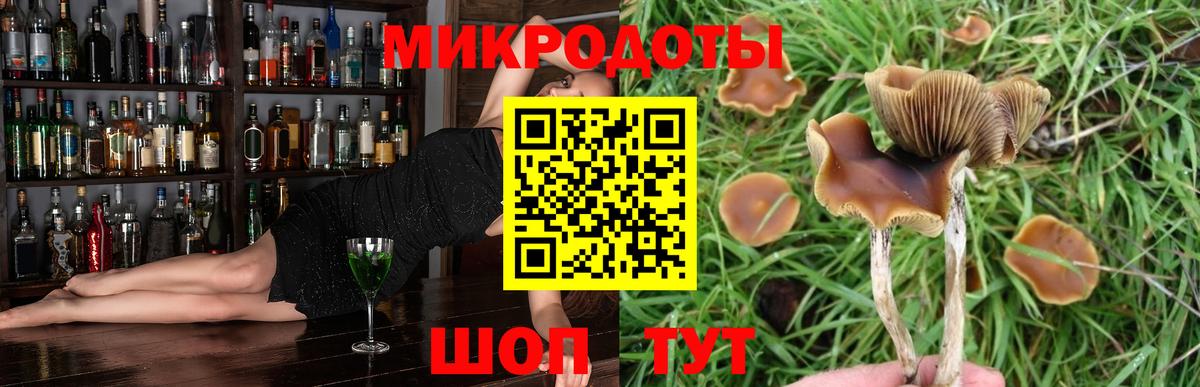 Галлюциногенные грибы мицелий Усть-Кут