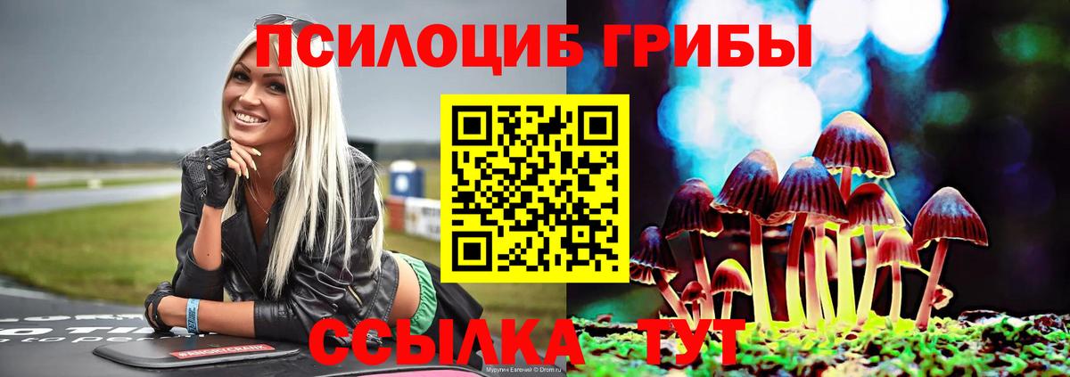 Галлюциногенные грибы мицелий Усть-Кут